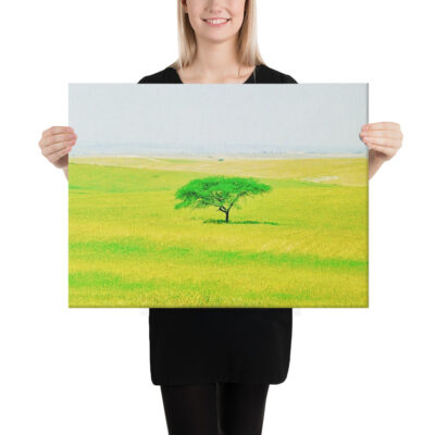 canvas-in-18x24-person-68e83d8614f77.jpg Canvas israel negev 0002 18″×24″
