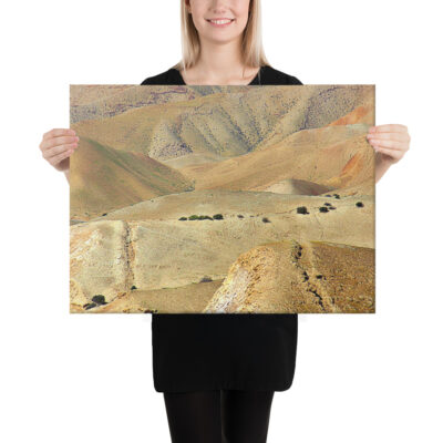 canvas-in-18x24-person-68e84afb481cb.jpg Canvas israel judean desert 0005 18″×24″
