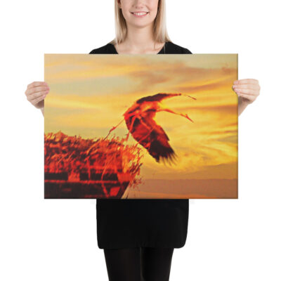 canvas-in-18x24-person-68eaef5a7f4a0.jpg Canvas birds of the world Stork 0001 18″×24″