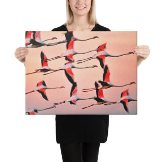 canvas-in-18x24-person-68eafce9f4215.jpg Canvas birds of the world Flamingo 0001 18″×24″