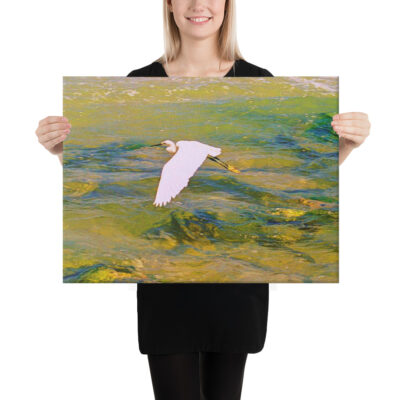 canvas-in-18x24-person-68eb1cdbbc251.jpg Canvas birds of the world Egret 0001 18″×24″