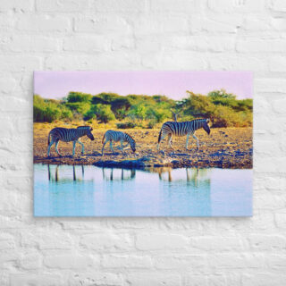 Canvas zebra 0005 24″×36″