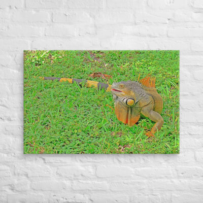 Canvas egona 0002 24″×36″