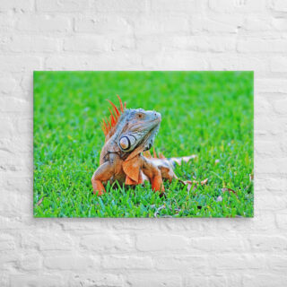 canvas-in-24x36-front-68ed73a900e98.jpg Canvas egona 0001 24″×36″