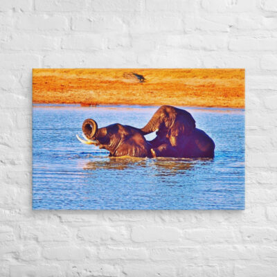 Canvas elephant 0005 24″×36″