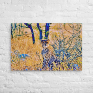 canvas-in-24x36-front-68ed998b32f42.jpg Canvas cheetah 0004 24″×36″