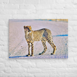 canvas-in-24x36-front-68ed9b69c7bf7.jpg Canvas cheetah 0002 24″×36″