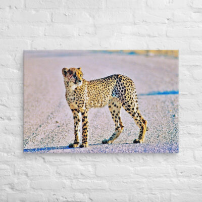 canvas-in-24x36-front-68ed9b69c7bf7.jpg Canvas cheetah 0002 24″×36″