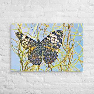 canvas-in-24x36-front-68eda01112e12.jpg Canvas butterfly 0007 24″×36″
