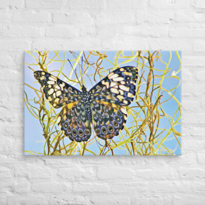 canvas-in-24x36-front-68eda01112e12.jpg Canvas butterfly 0007 24″×36″