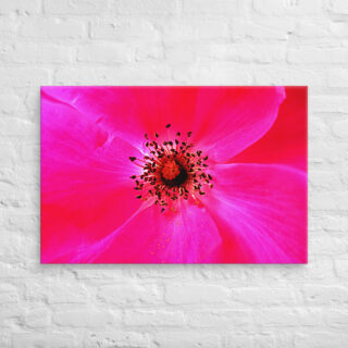 canvas-in-24x36-front-68edbe37090af.jpg Canvas abstract flora 0010 24″×36″
