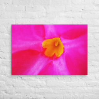 canvas-in-24x36-front-68edbff5d342f.jpg Canvas abstract flora 0008 24″×36″