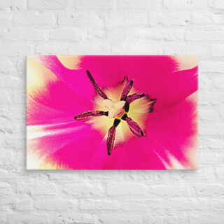 canvas-in-24x36-front-68edc246613bb.jpg Canvas abstract flora 0006 24″×36″