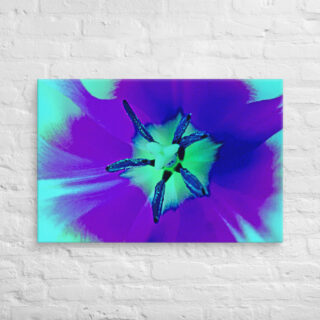canvas-in-24x36-front-68edc49ae4087.jpg Canvas abstract flora 0004 24″×36″