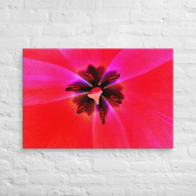 canvas-in-24x36-front-68edc57b368b1.jpg Canvas abstract flora 0003 24″×36″