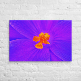 canvas-in-24x36-front-68edc63644165.jpg Canvas abstract flora 0002 24″×36″