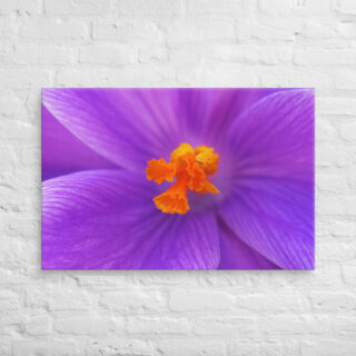 canvas-in-24x36-front-68edc6f7b67b1.jpg Canvas abstract flora 0001 24″×36″