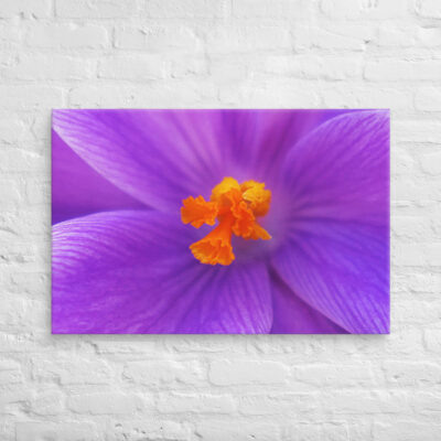 canvas-in-24x36-front-68edc6f7b67b1.jpg Canvas abstract flora 0001 24″×36″