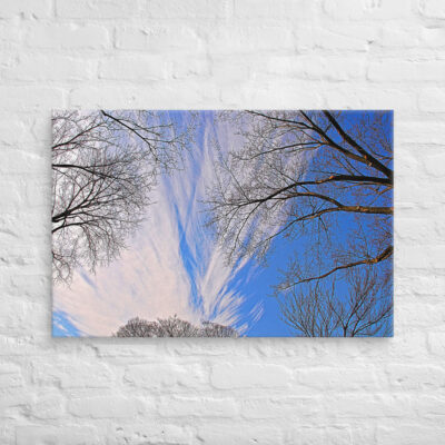 canvas-in-24x36-front-68ef0e6cf41a7.jpg Canvas Us Washington Dc Foliage 0003 24″×36″