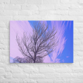 canvas-in-24x36-front-68ef101538610.jpg Canvas Us Washington Dc Foliage 0002 24″×36″