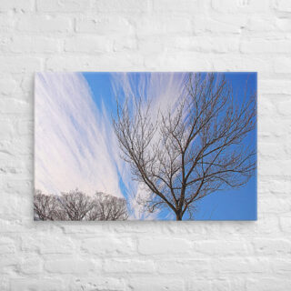 canvas-in-24x36-front-68ef113b283f2.jpg Canvas Us Washington Dc Foliage 0001 24″×36″