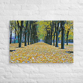 canvas-in-24x36-front-68f0002475323.jpg Canvas French Paris Foliage 006 24″×36″