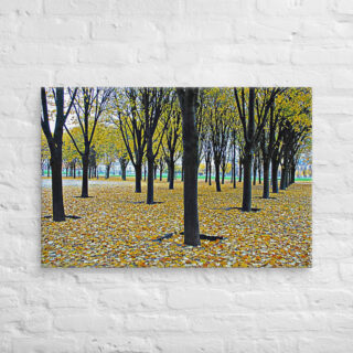 canvas-in-24x36-front-68f001eed56eb.jpg Canvas French Paris Foliage 005 24″×36″
