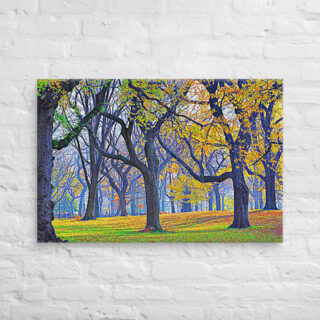canvas-in-24x36-front-68f10ec015653.jpg Canvas us New York City Central Park 0009 24″×36″