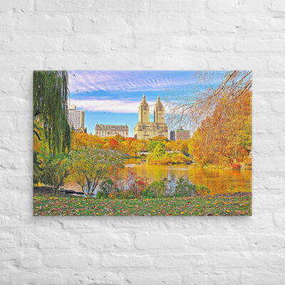 canvas-in-24x36-front-68f10fe6bfaa3.jpg Canvas us New York City Central Park 0008 24″×36″