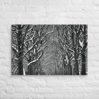 canvas-in-24x36-front-68f116b973c32.jpg Canvas us New York City Central Park 0002 24″×36″