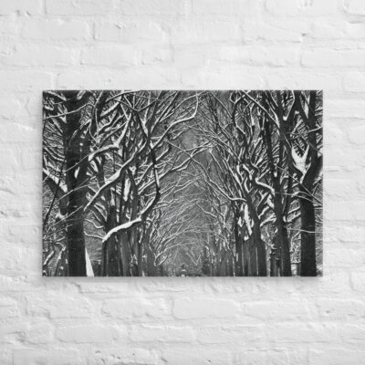 canvas-in-24x36-front-68f116b973c32.jpg Canvas us New York City Central Park 0002 24″×36″