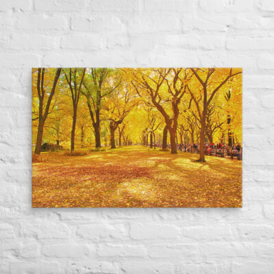 canvas-in-24x36-front-68f1179bdf15a.jpg Canvas us New York City Central Park 0001 24″×36″