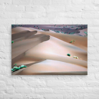 Canvas Namibia Sossusvlei 0007 24″×36″