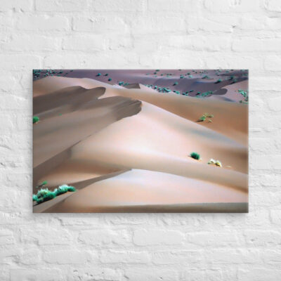 canvas-in-24x36-front-68f1b1f17042e.jpg Canvas Namibia Sossusvlei 0007 24″×36″