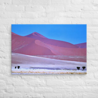 canvas-in-24x36-front-68f1b5a4237db.jpg Canvas Namibia Sossusvlei 0004 24″×36″