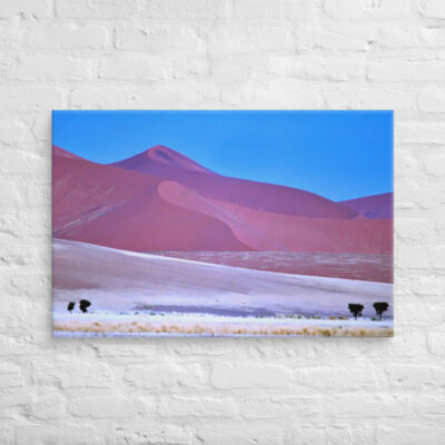 canvas-in-24x36-front-68f1b5a4237db.jpg Canvas Namibia Sossusvlei 0004 24″×36″