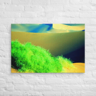 canvas-in-24x36-front-68f2603275d4e.jpg Canvas Namibia Sossusvlei 0003 24″×36″