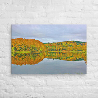 canvas-in-24x36-front-68f3f8b74da3e.jpg Canvas France Provence Foliage 0016 24″×36″