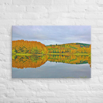 canvas-in-24x36-front-68f3f8b74da3e.jpg Canvas France Provence Foliage 0016 24″×36″