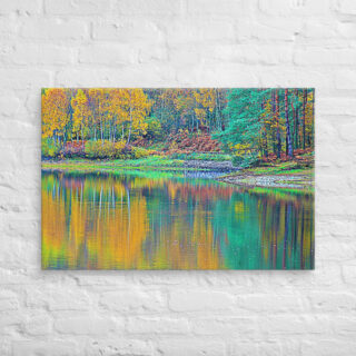 canvas-in-24x36-front-68f4505425a4b.jpg Canvas France Provence Foliage 0015 24″×36″
