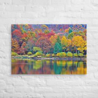 canvas-in-24x36-front-68f452eb0dc56.jpg Canvas France Provence Foliage 0012 24″×36″