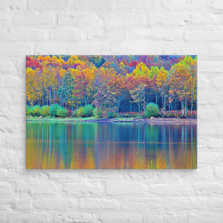 canvas-in-24x36-front-68f4539581f4b.jpg Canvas France Provence Foliage 0011 24″×36″