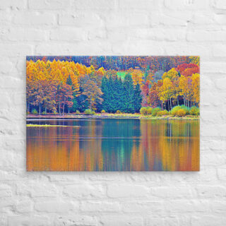 canvas-in-24x36-front-68f459a4b98cb.jpg Canvas France Provence Foliage 0005 24″×36″