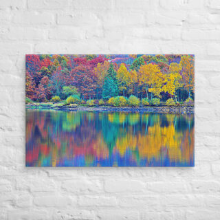 canvas-in-24x36-front-68f45b0210337.jpg Canvas France Provence Foliage 0003 24″×36″