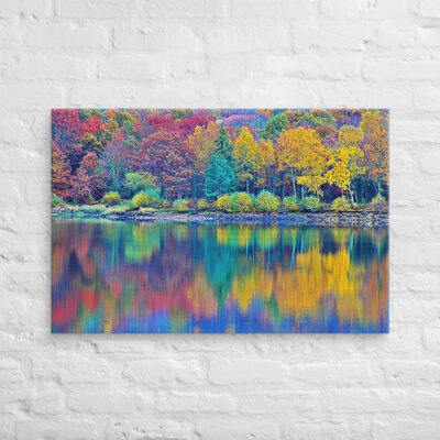 canvas-in-24x36-front-68f45b0210337.jpg Canvas France Provence Foliage 0003 24″×36″