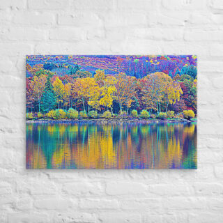 canvas-in-24x36-front-68f45bbd3bcb2.jpg Canvas France Provence Foliage 0002 24″×36″