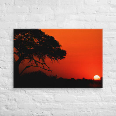 canvas-in-24x36-front-68f47bdd44ad3.jpg Canvas Afrika Sunset 0005 24″×36″