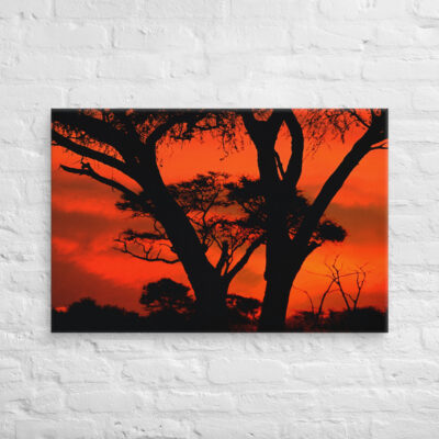 canvas-in-24x36-front-68f50d9138fac.jpg Canvas Afrika Sunset 0002 24″×36″