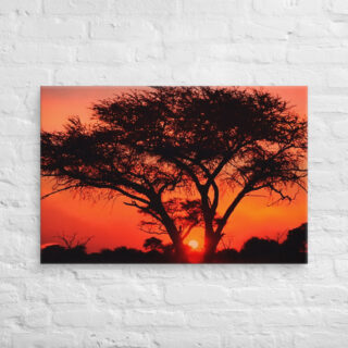 canvas-in-24x36-front-68f50e685b4a9.jpg Canvas Afrika Sunset 0001 24″×36″