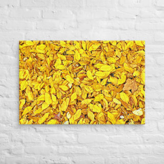 canvas-in-24x36-front-68f522ea2976d.jpg Canvas us Foliage 0001 24″×36″